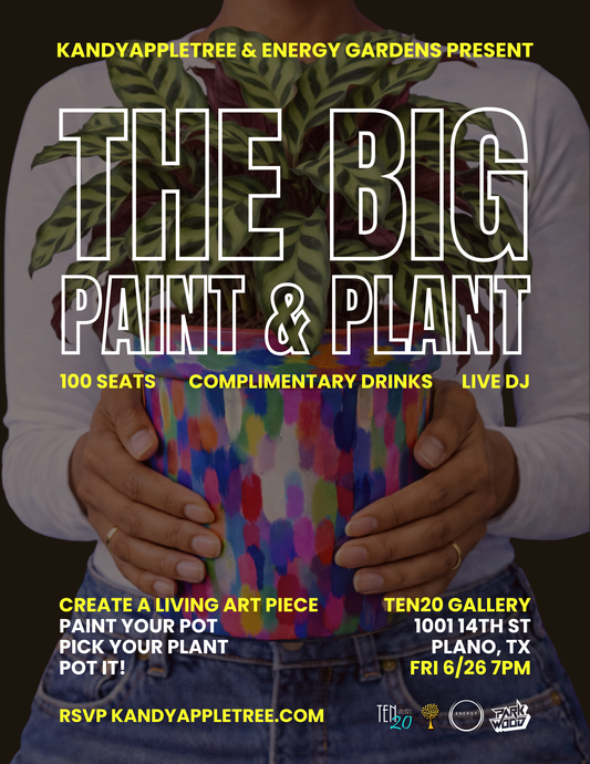 THE BIG Paint & Plant (& Sip) – Friday 6/26/26 7pm