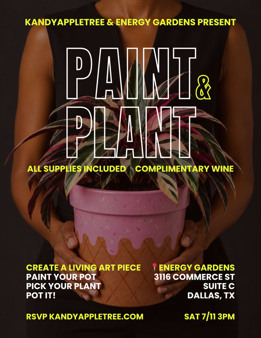 Paint & Plant (& Sip) – Saturday 7/11/26 3pm