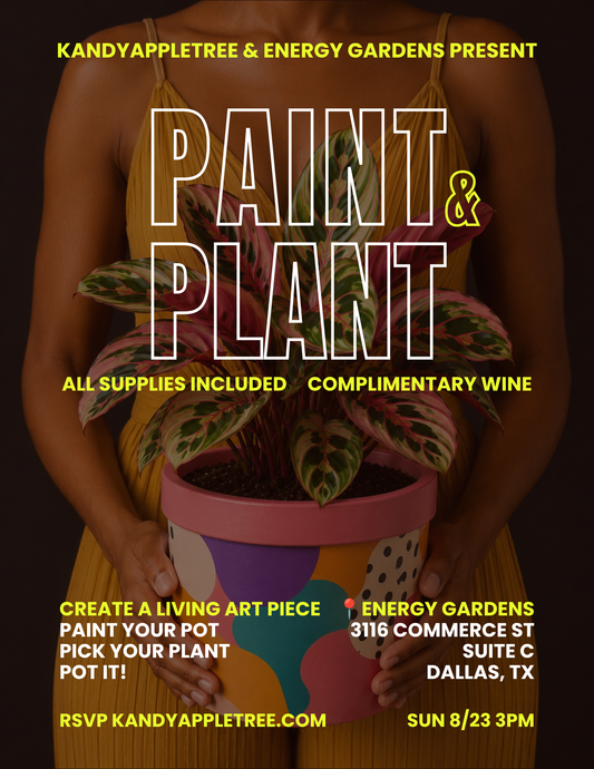 Paint & Plant (& Sip) – Sunday 8/23/26 3pm