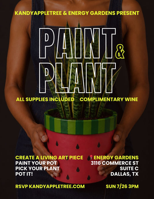 Paint & Plant (& Sip) – Sunday 7/26/26 3pm