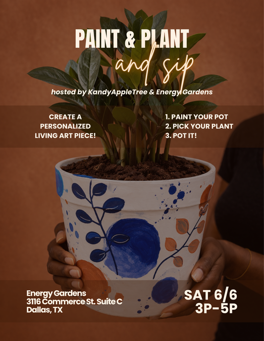 Paint & Plant (& Sip) – Saturday 6/6/26 3pm